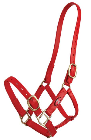 ZILCO halter red 25mm 544567