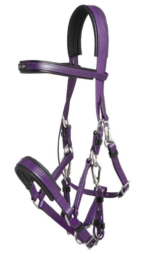 ZILCO Marathon endurance bridle SS purple 269006