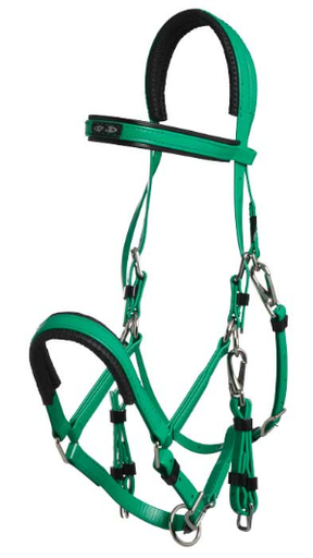ZILCO Marathon endurance bridle SS light green 269015