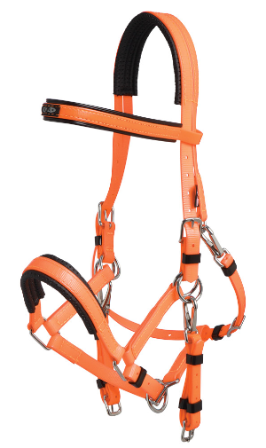 ZILCO Marathon endurance bridle SS orange 269027