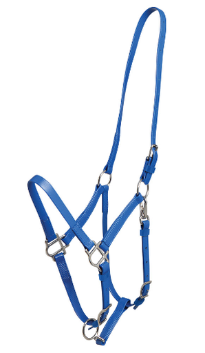 ZILCO Deluxe endurance bridle royal halter SS 269112