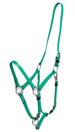 ZILCO Deluxe endurance bridle light green halter SS 269115