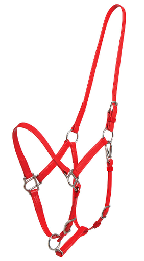 ZILCO Deluxe endurance bridle red halter SS 269107