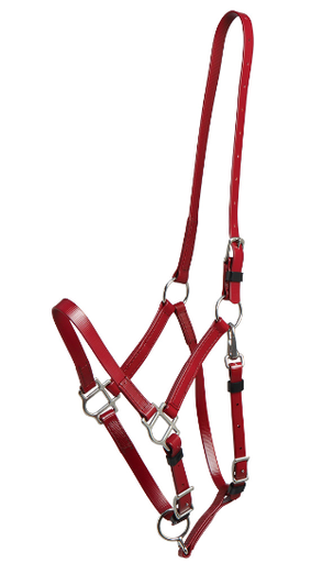 ZILCO Deluxe endurance bridle burgundy halter SS 269110