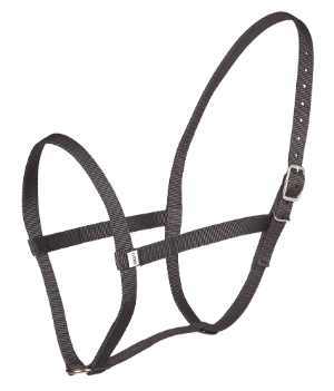 ZILCO under halter PP web pony black 542211