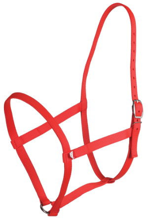 ZILCO under halter PP web pony red 542217