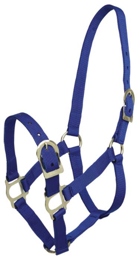 ZILCO Picador headstall full blue 542582