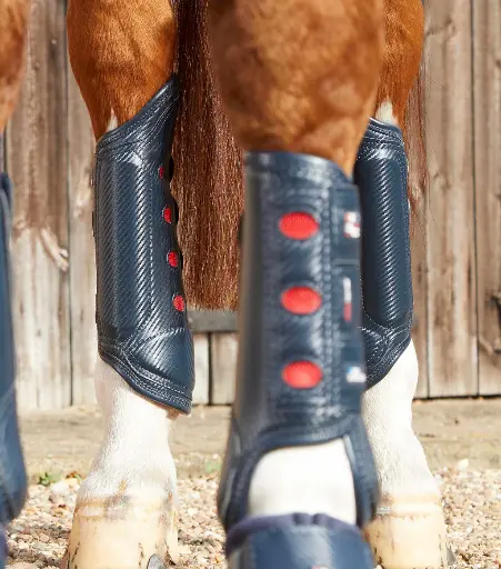 PE Carbon tech aircooled event boots navy hind 