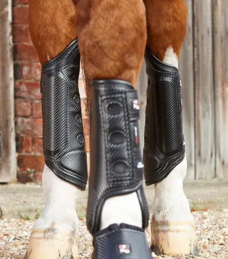 PE Carbon tech aircooled event boots black hind