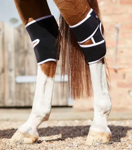 PE Magnetic hock boot