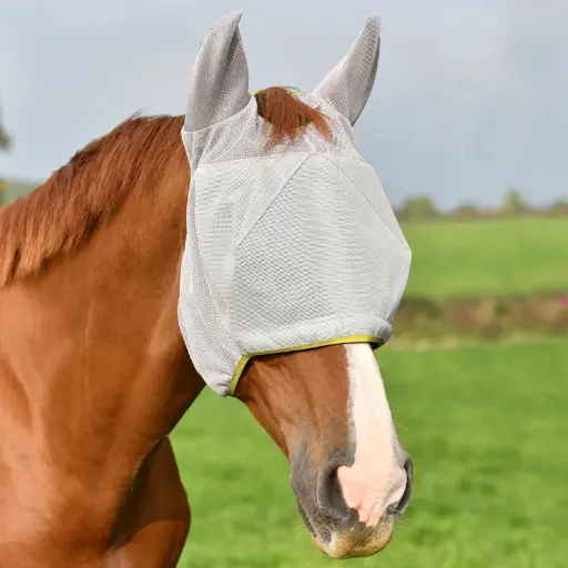 Equilibrium Field Relief midi ears grey