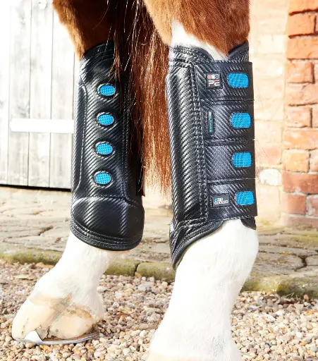 PE Carbon tech aircooled lite event boots black hind 
