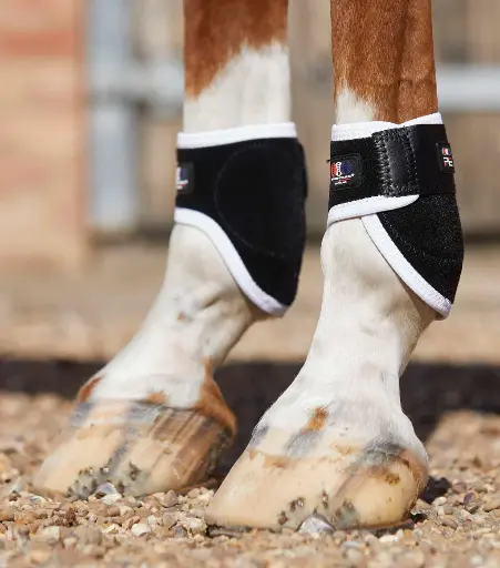 PE Magnetic fetlock boot