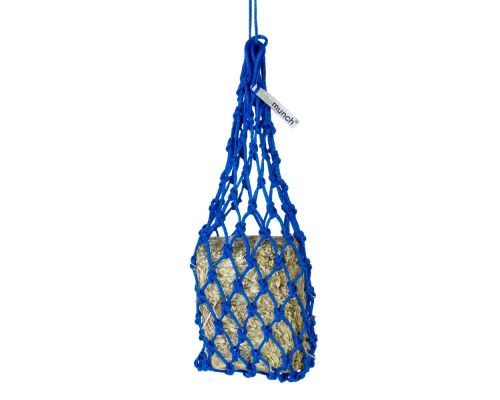 Equilibrium Munch net blue