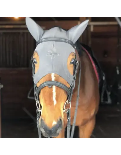 Fenwick Liquid Titanium Mask grey with ears 