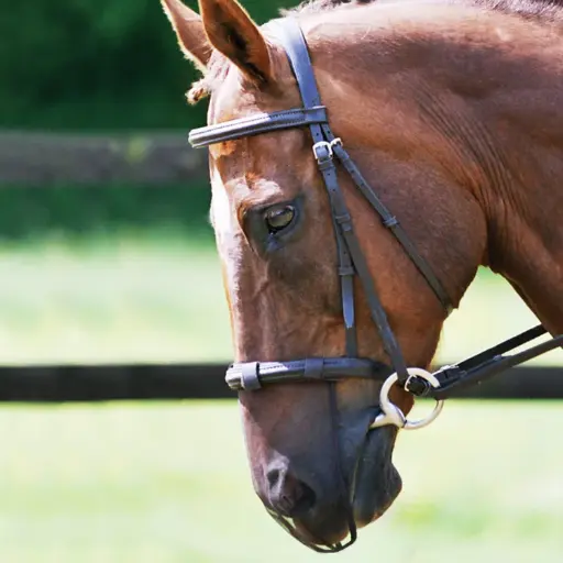 Equilibrium Net Relief Muzzle net brown (pack of 2)