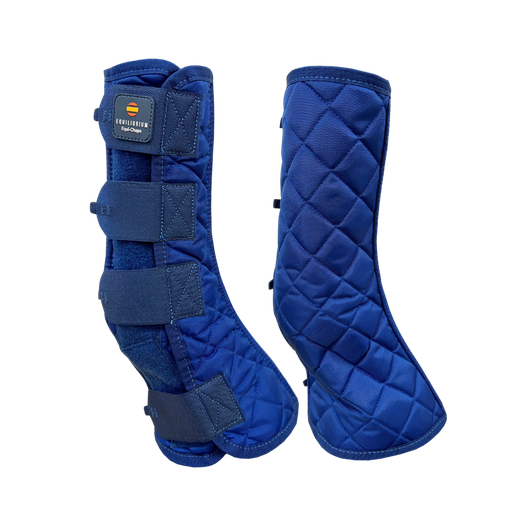 Equilibrium Stable Chaps 