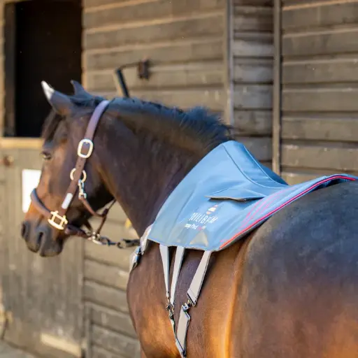 Equilibrium Massage Pad Heatsense Small