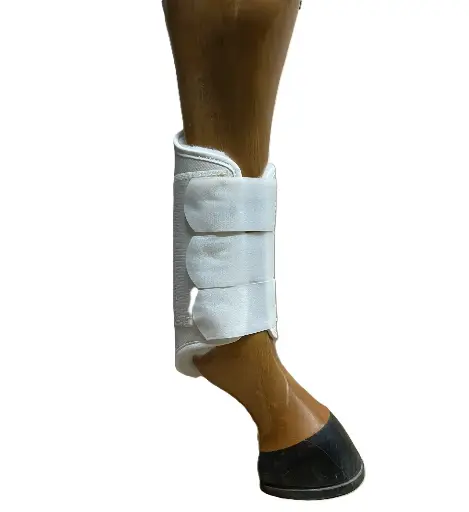 NEW Dressage protection boot hind
