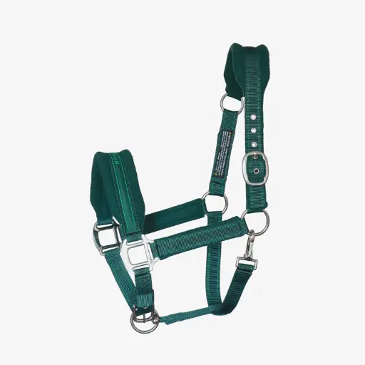 Equilibrium Stellar Style Headcollar