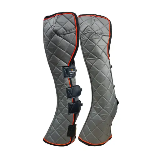Equilibrium Magnetic Fore and Knee chaps 