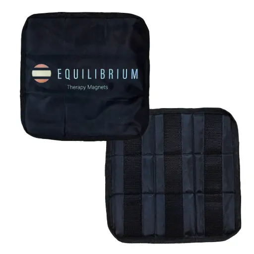 Equilibrium Spare Magnets for Magnetic rug square (2)