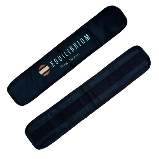 Equilibrium Spare Magnets for Magnetic rug long (2) 