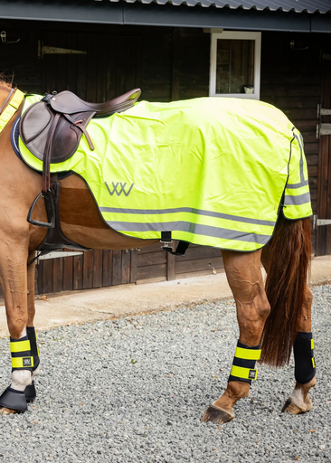 Woof Wear Winter Hi Vis Exercise Sheet
